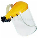 Face shield